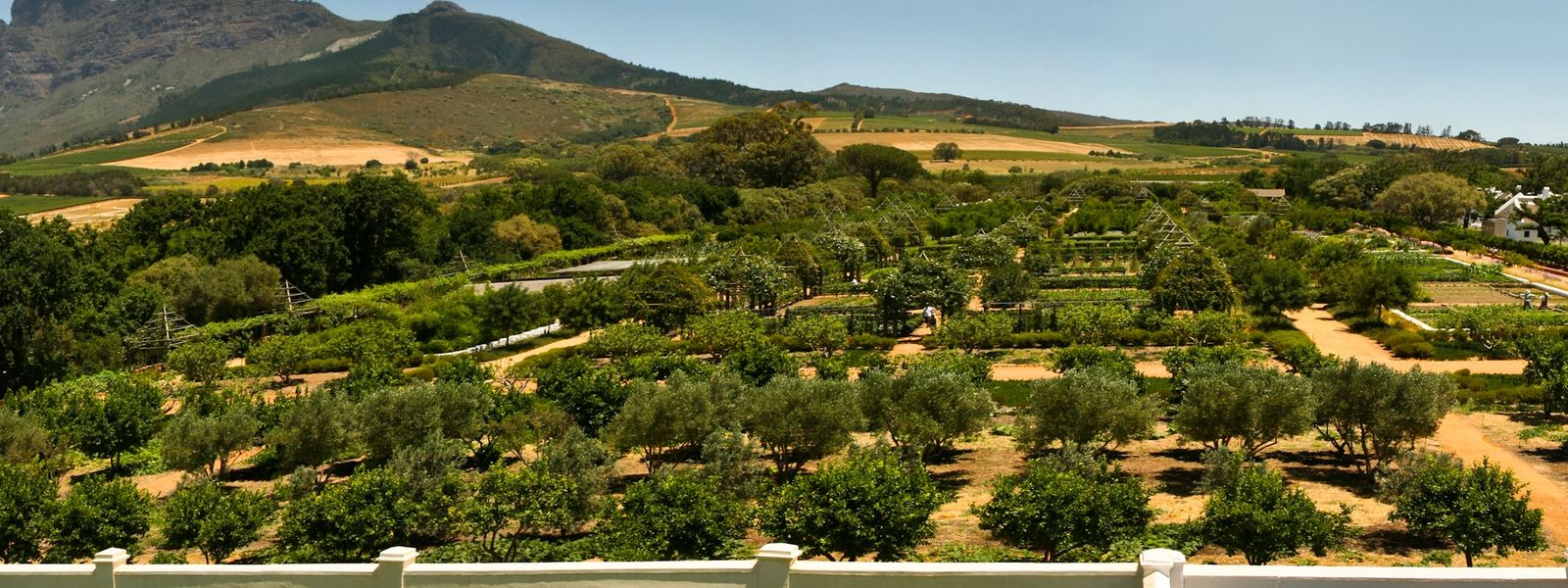 Unsere Urlaubsgeheimtipps | Babylonstoren