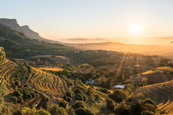 Sip, Swirl & Safari - A Virtual Wine Experience