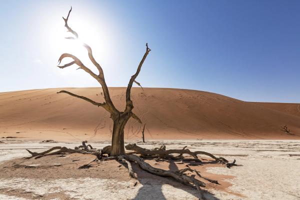 Namibia's Top Travel Destinations
