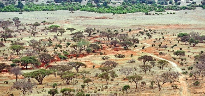 Die schönsten Unterkünfte in Kenia