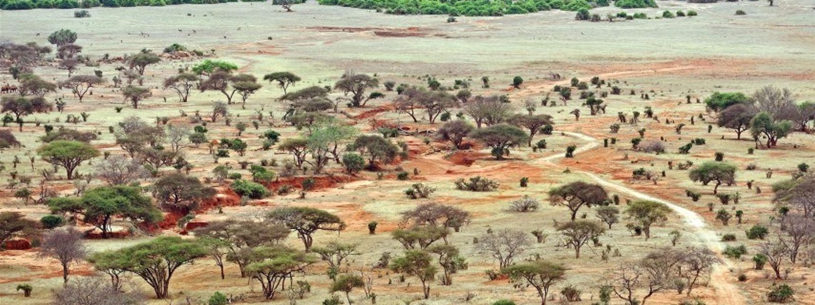 Die schönsten Unterkünfte in Kenia