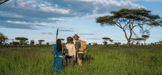 Tanzania Safari: What the Itinerary Doesn’t Tell You