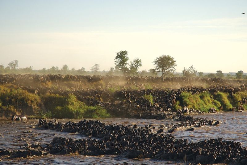 Siéntase invencible al ser testigo de la naturaleza en su forma más espléndida