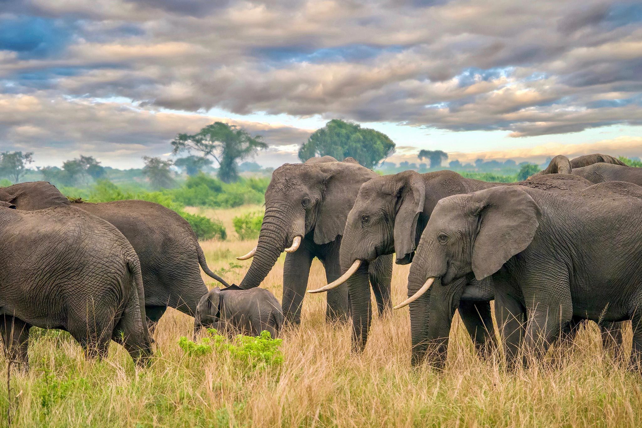 More Than a Tourist – Queen Elizabeth II’s Impact on Africa