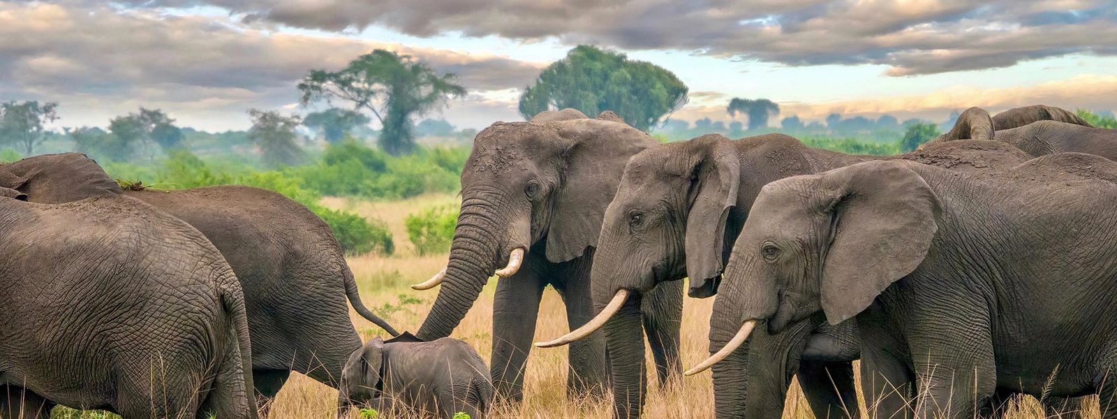 More Than a Tourist – Queen Elizabeth II’s Impact on Africa