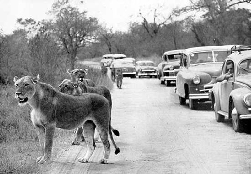 Kruger National Park