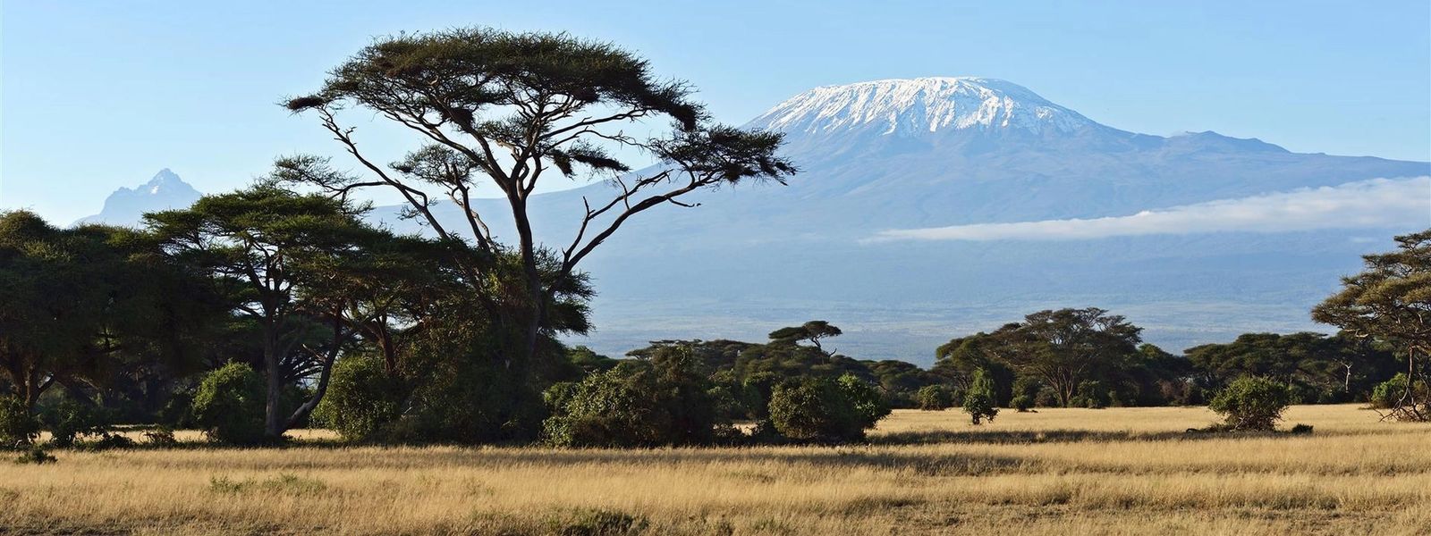 Safari in Ostafrika – darauf dürfen Sie sich freuen