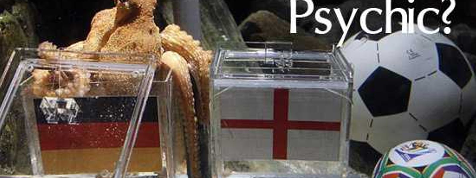 Paul the Octopus