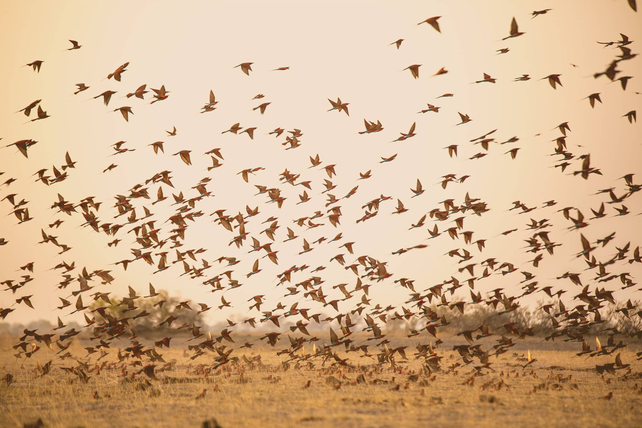 Okavango Delta Safari – FAQs