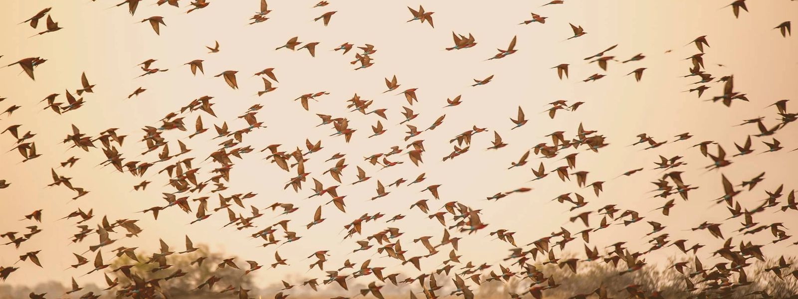 Okavango Delta Safari – FAQs