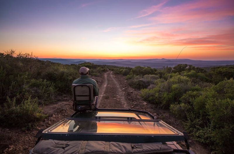 leading lines wildlife photography