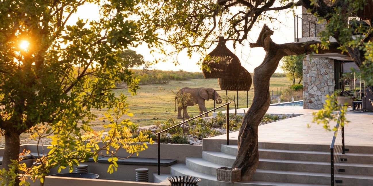 Top 10 Luxury Safari Lodges in South Africa