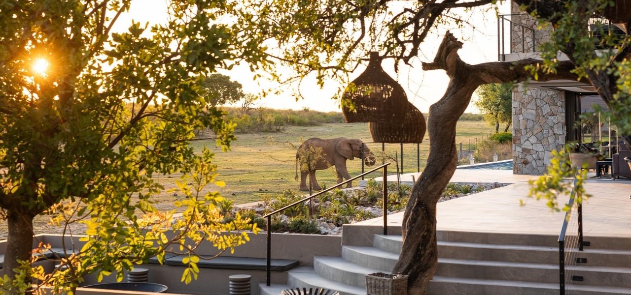 Top 10 des Lodges de Safari de Luxe en Afrique du Sud à Visiter en 2025