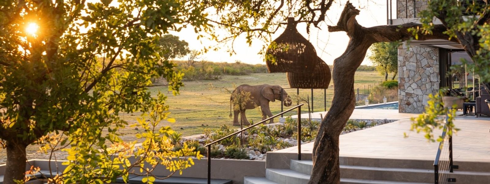 Top 10 Luxury Safari Lodges in South Africa