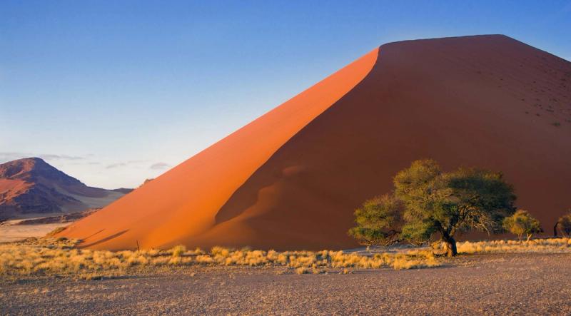 A big rust-coloured dune in Sossusvlei, one of the highlight sights while on a Namibia safari
