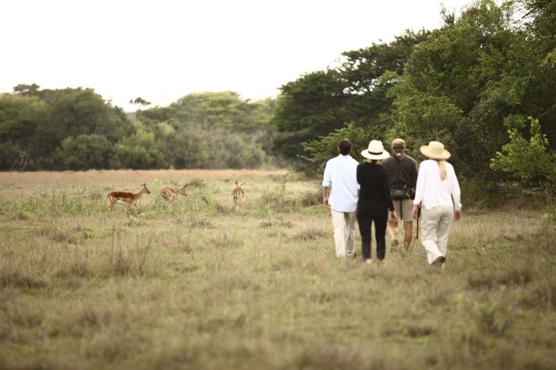 Balade en brousse, Phinda