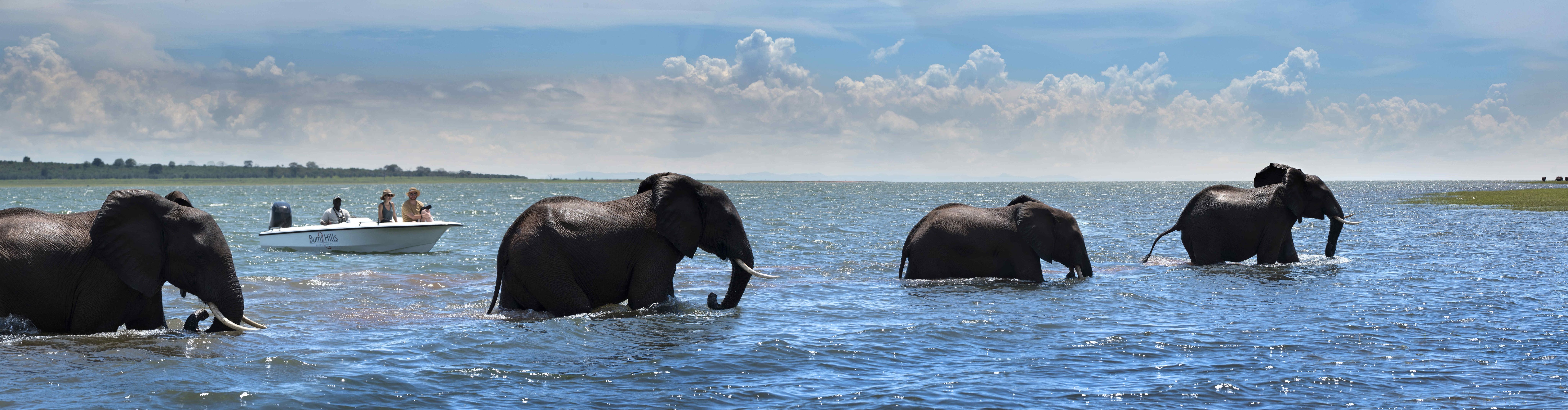 Lake Kariba: Mountains, River Gods & an Inland Sea