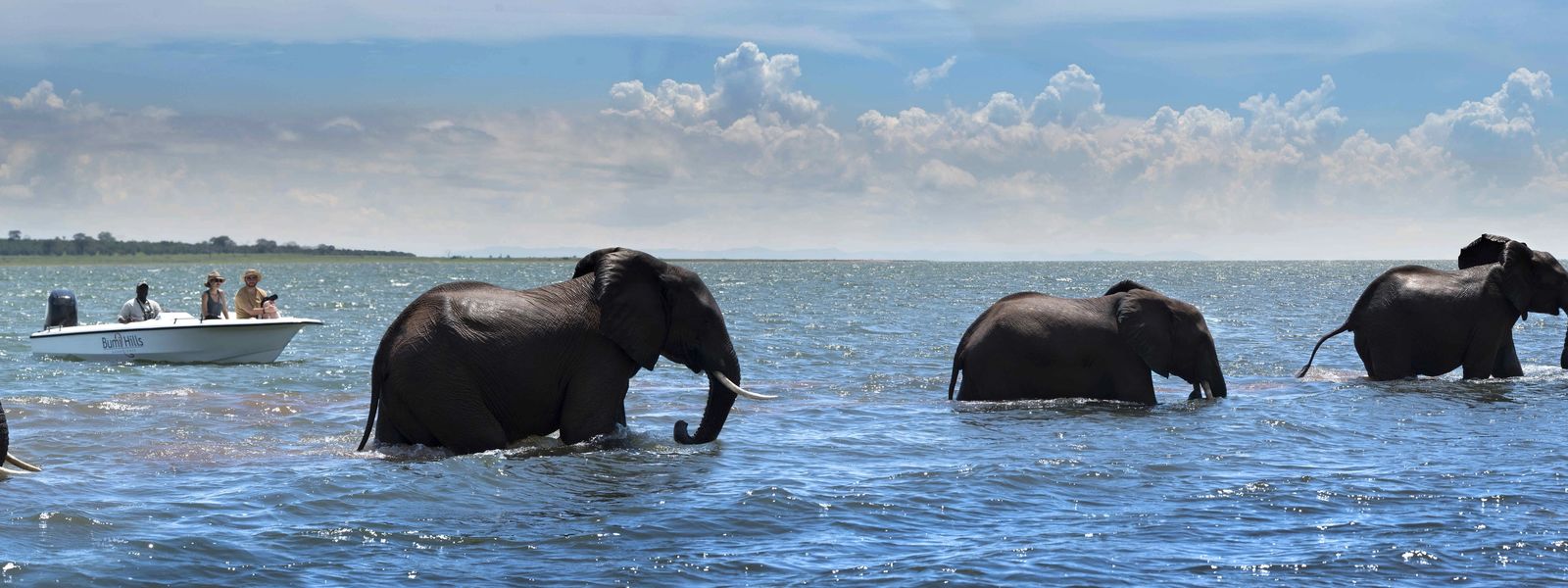 Lake Kariba: Mountains, River Gods & an Inland Sea