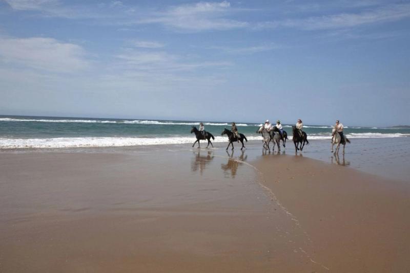 Fünf Reiter auf Pferden gehen über einen Strand in Durban, dahinter das Meer