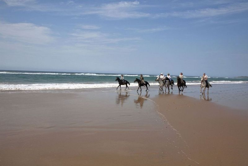 Fünf Reiter auf Pferden gehen über einen Strand in Durban, dahinter das Meer