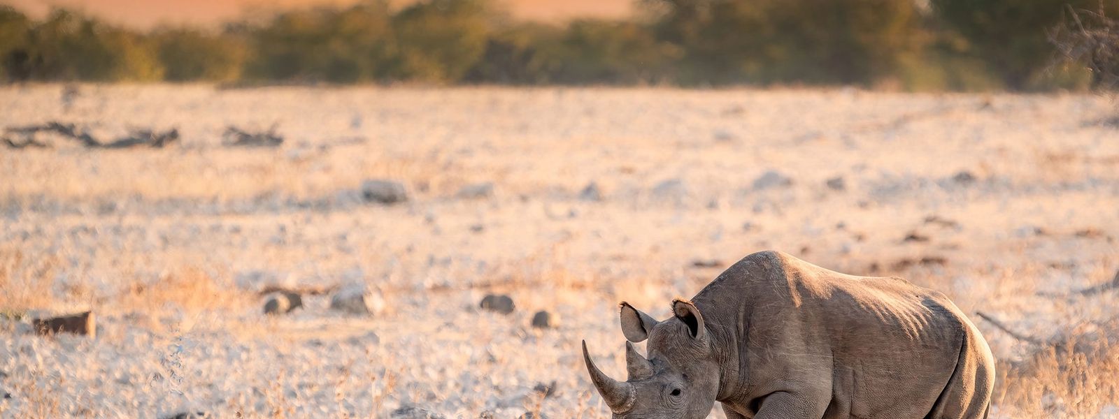 Top 9 Reiseziele in Namibia