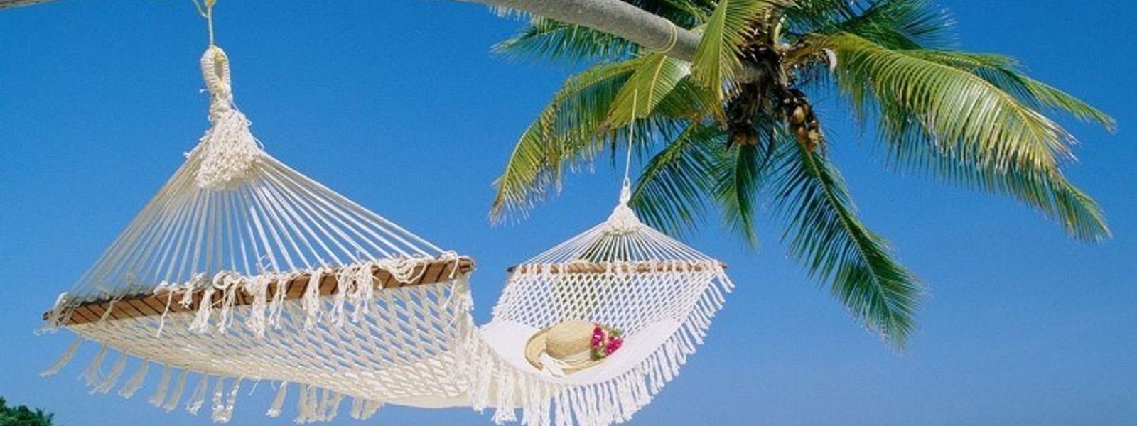 Duo gagnant : Safari et plage de sable blanc