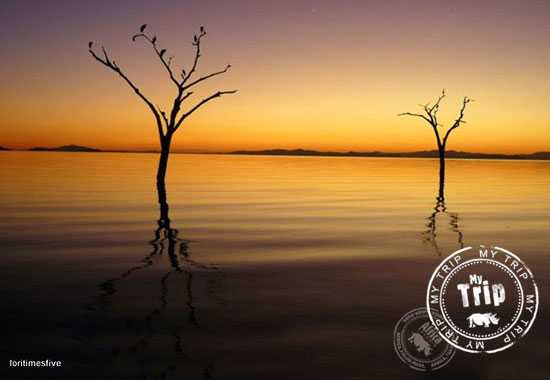 My Trip| Lori explores Zimbabwe and Botswana