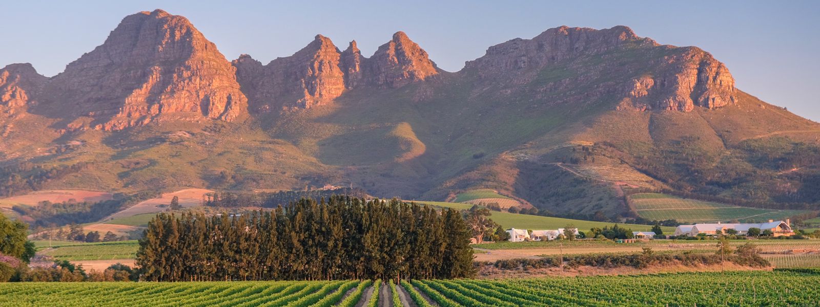 Wellness in the Winelands: Rethinking What It Means to Switch Off