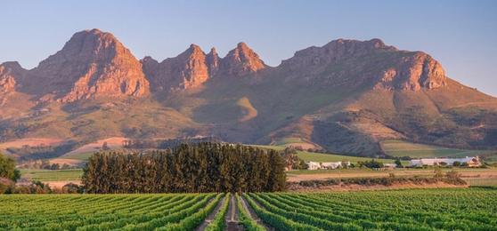 Wellness in the Winelands: Rethinking What It Means to Switch Off