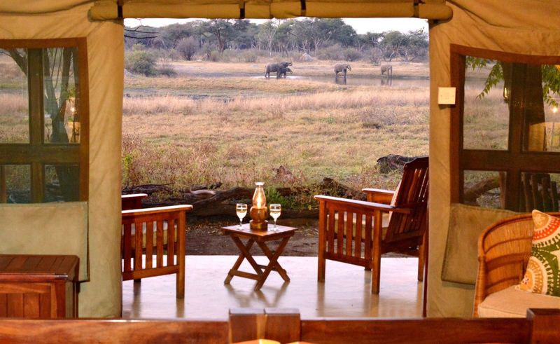 Guests at The Hide enjoy prime viewing of Hwange National Park wildlife