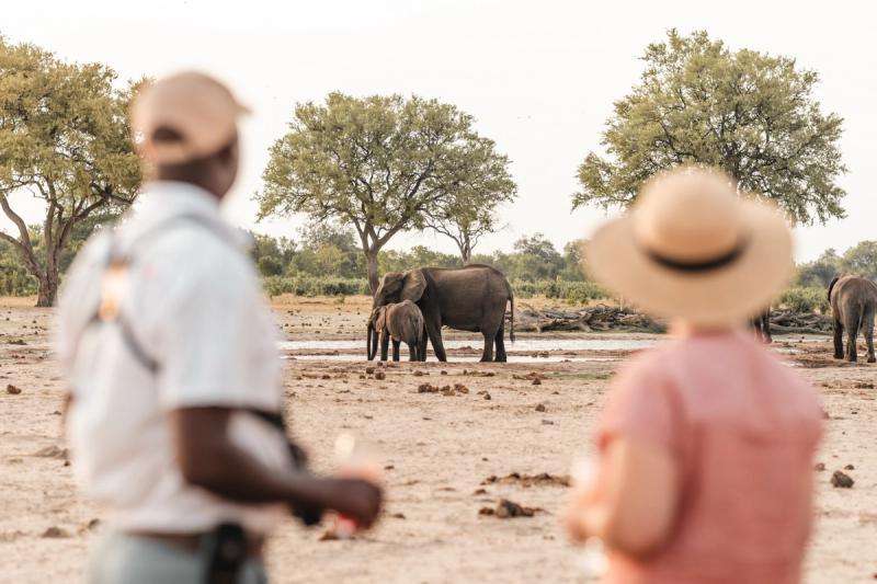 A guide and a guest observe a pair of elephants drinking at a waterhole in the distance, framed by trees in a dry, open landscape.