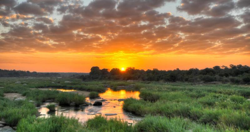 Summer sunrise in Kruger