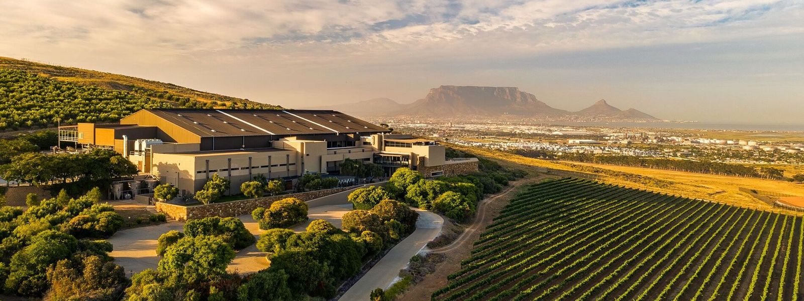 Introducing Cape Town's Wineland Wonders Guide