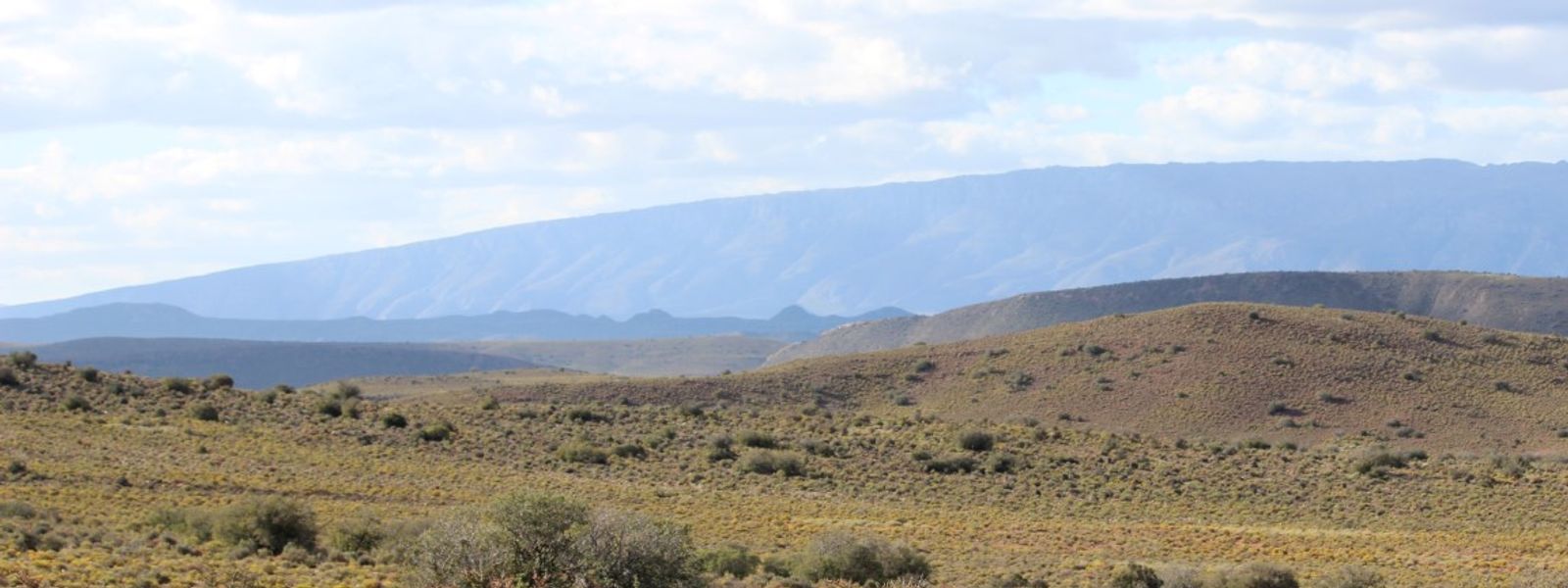 Safari im Sanbona Wildlife Reserve | Review 2022