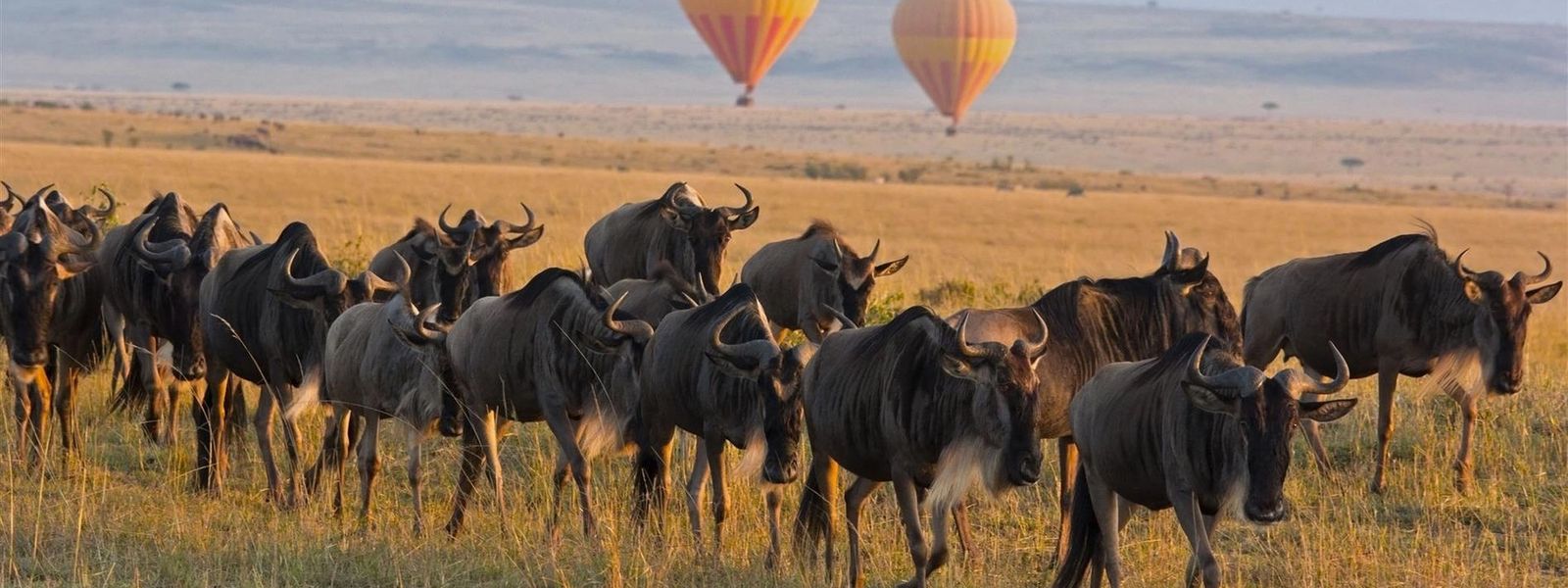 10 Reasons to Visit Kenya