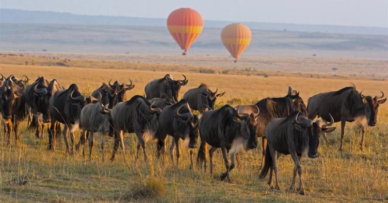 Hot Air Balloon safari in Kenya