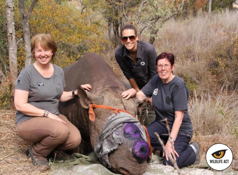 Bénévoles de l'association de Wildlife ACT contre le braconnage des rhinocéros en Afrique du Sud