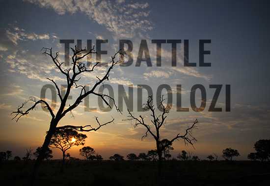 The 6 Hour Battle at Londolozi - Buffalo Vs Lion