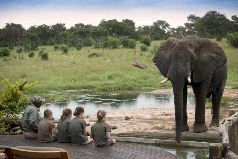 family in front of elephant at Somalisa Acacia