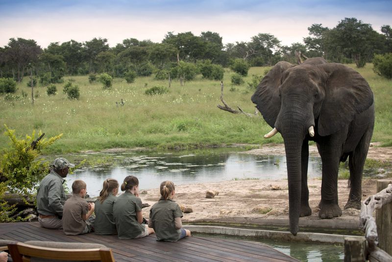 family in front of elephant at Somalisa Acacia