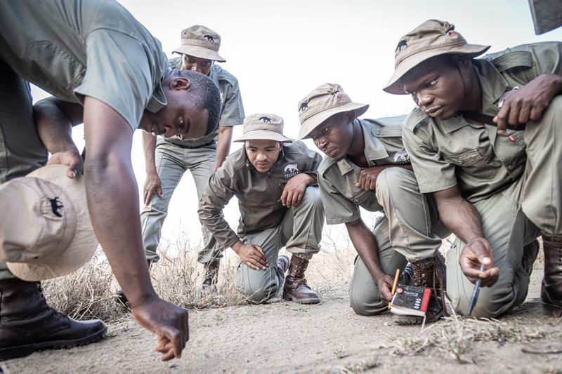 Tracker Academy trainees kneeling to study animal tracks during Rhino Guardian training.
