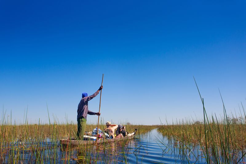 Mokoro trip experiences through reeds in the Okavango Delta