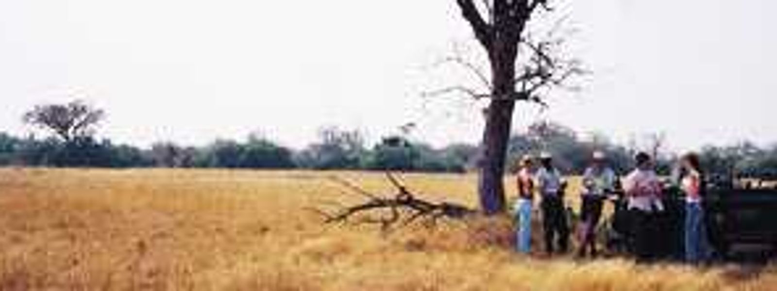 Kruger in the morning, Vic Falls in the afternoon!