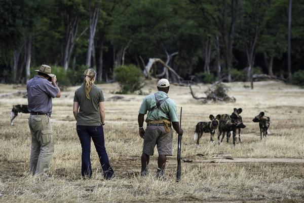 Safári a pé | Tudo o que você precisa saber
