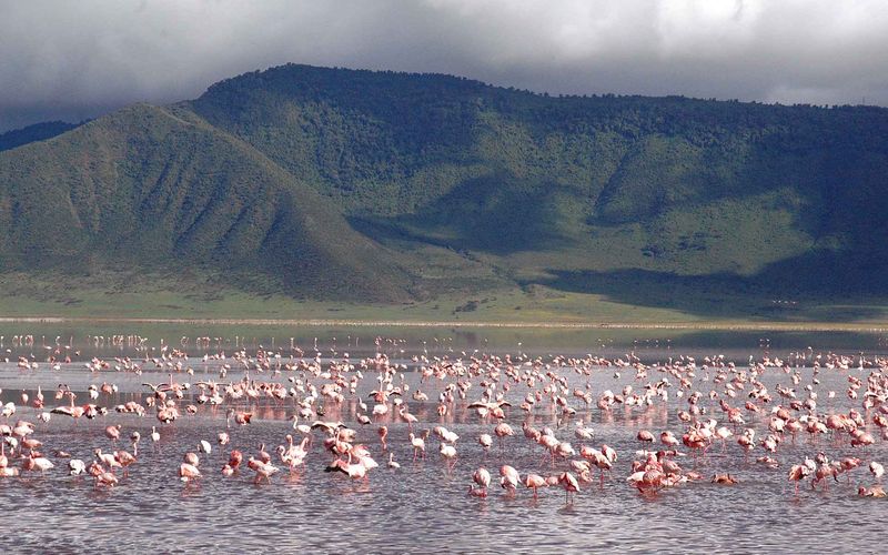 Cratère du Ngorongoro, Tanzanie