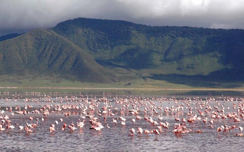 Cratère du Ngorongoro, Tanzanie