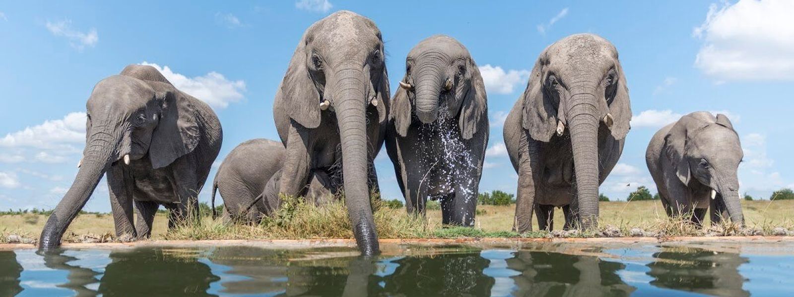 Notre photographe est revenu du Zimbabwe avec ses plus beaux clichés