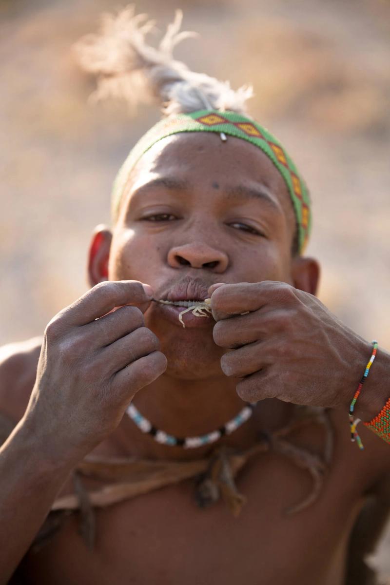 Bushmen can course nutrients from scorpions