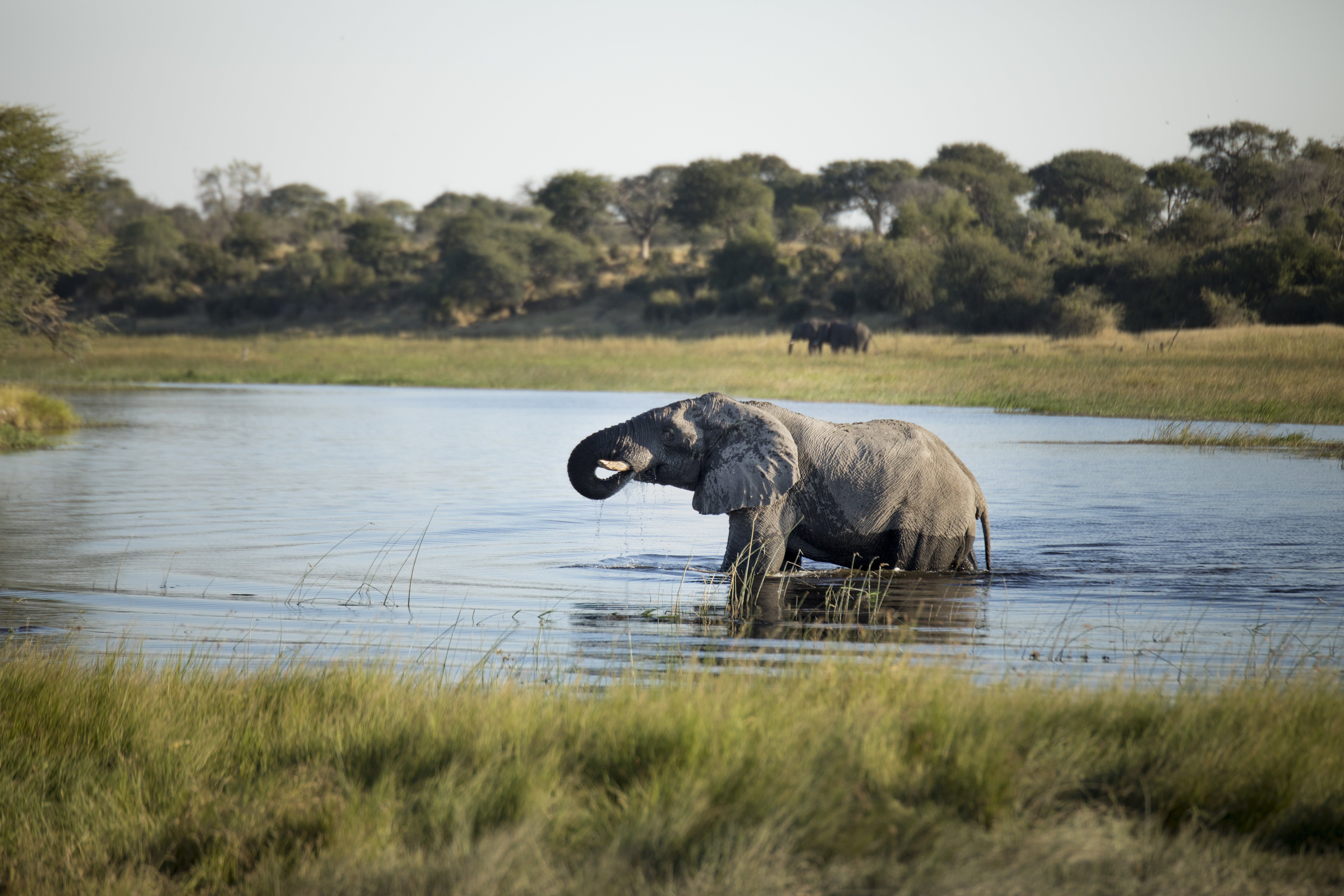 Nachhaltiger Tourismus in Afrika