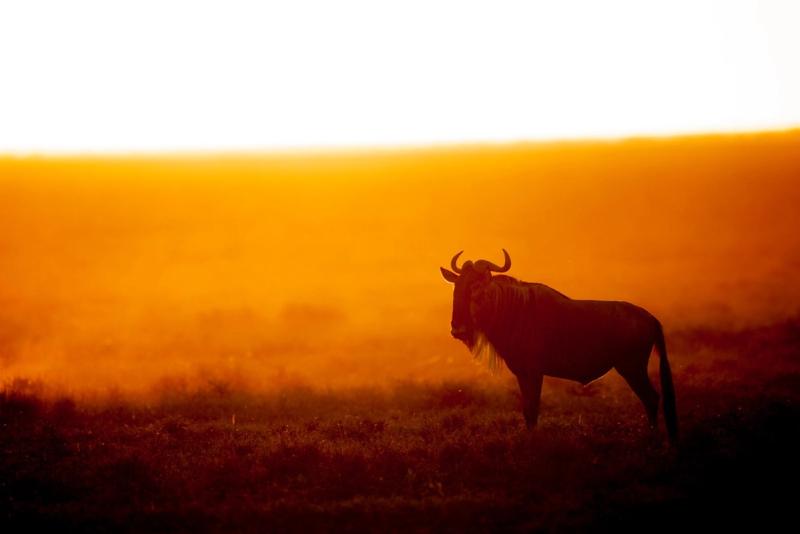 Sonnenuntergang Serengeti